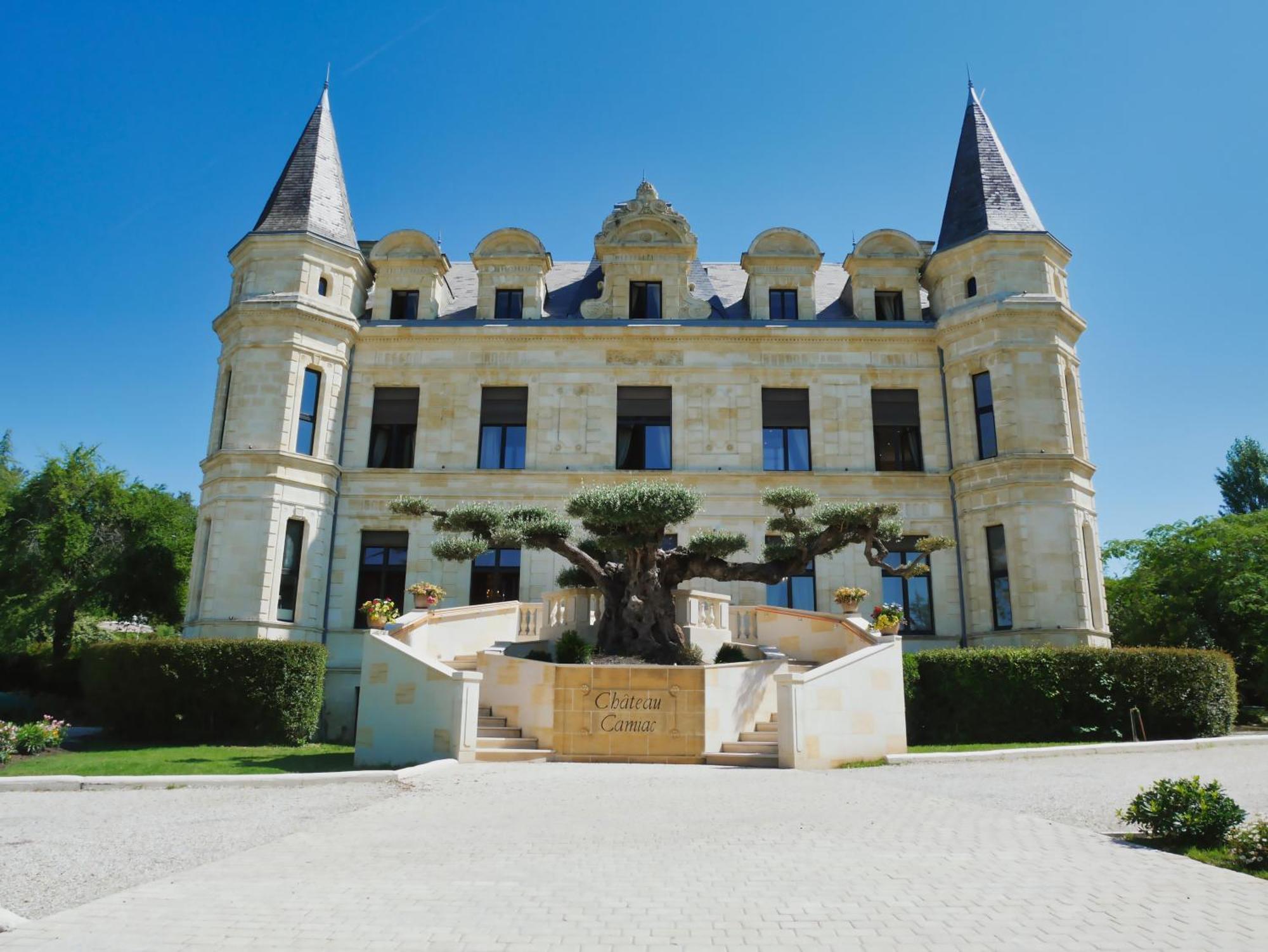 Chateau Camiac Camiac-et-Saint-Denis Exterior foto
